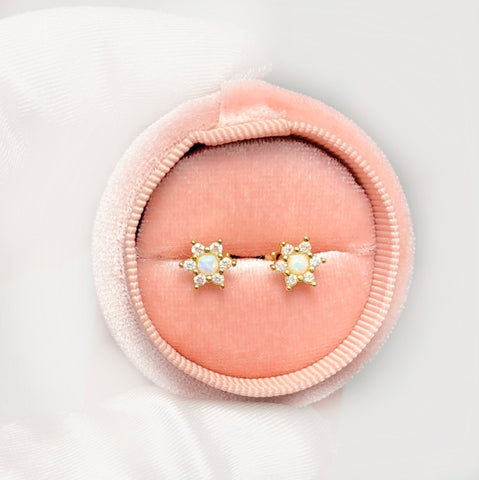Star Opal Earrings